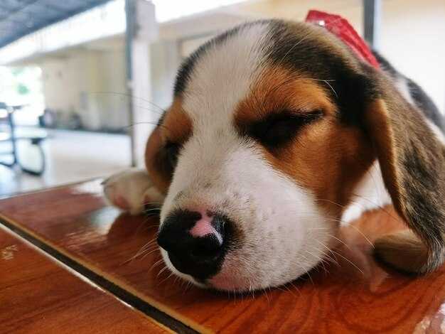 Методы диагностики ангины