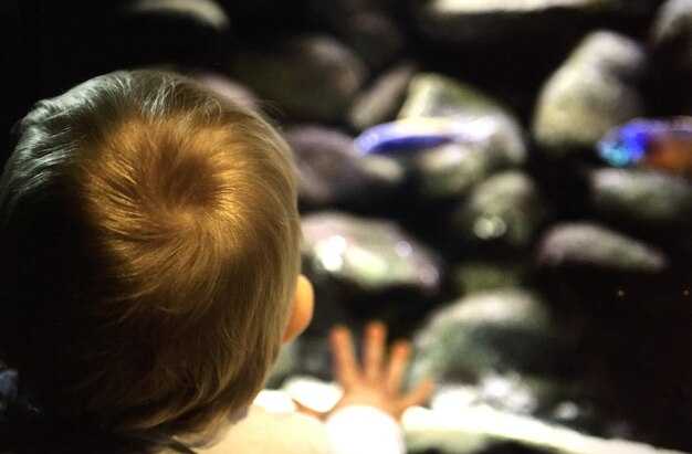 Алгоритм вычесывания гнид из волос