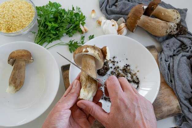 Альтернативы: что есть после грибов