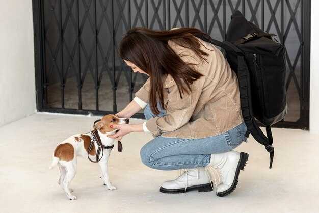 Размер и вес собаки: какие ограничения?