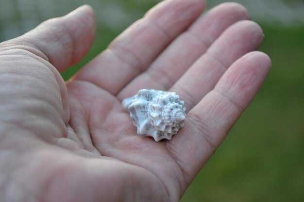 Практические советы по борьбе с плесенью