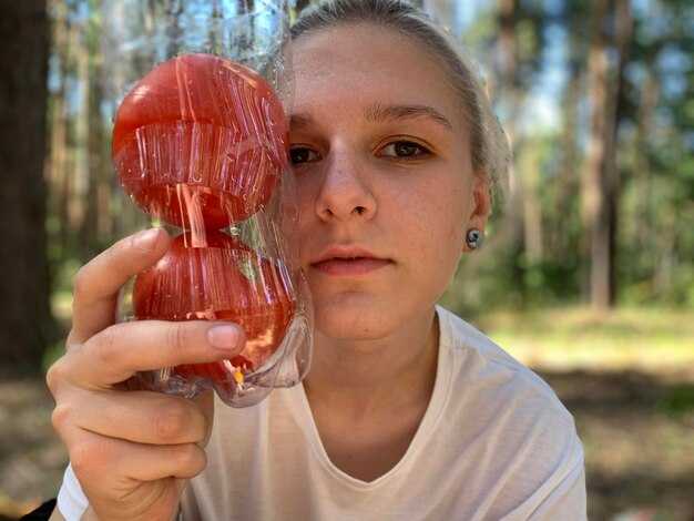 Влияние температуры окружающей среды