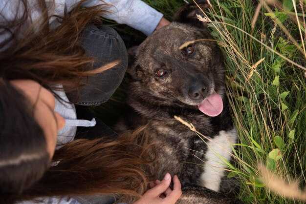 mozhno-li-spastis-ot-beshenstva-posle-ukusa-vazhnie-fakti-i-rekomendatsii